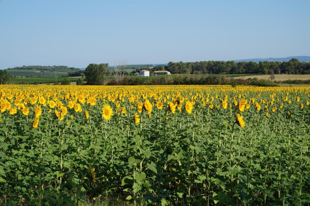 مبيت وإفطار Pennautier Le Clos Des Troubadours المظهر الخارجي الصورة